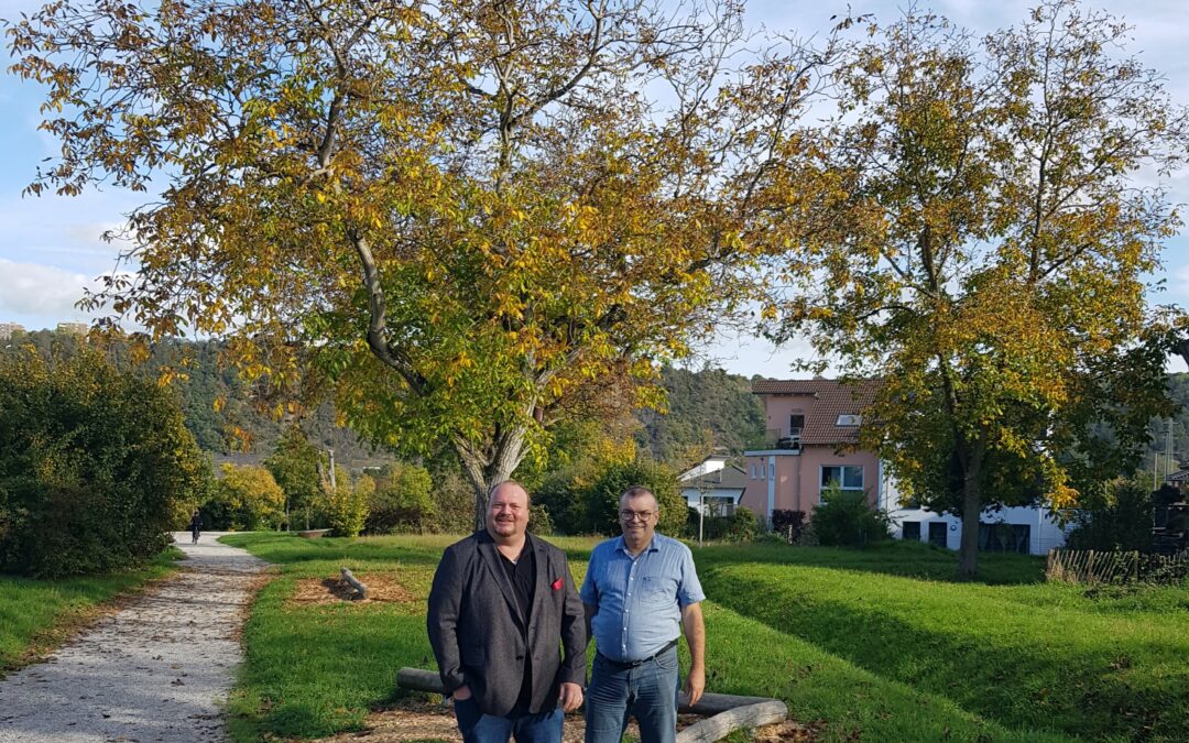 Güls bekommt neue Nussbäume