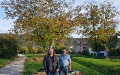 Güls bekommt neue Nussbäume